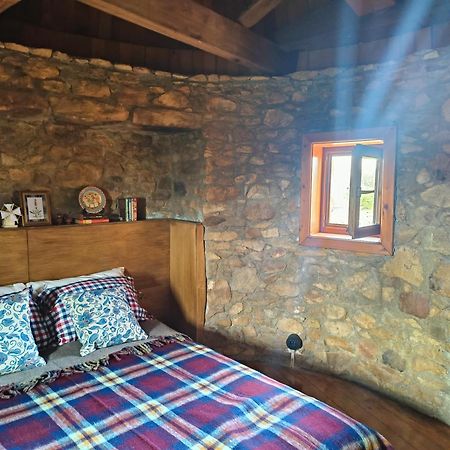 Moinho Da Alfazema Villa Penacova Dış mekan fotoğraf